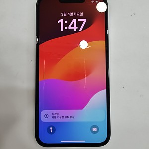 아이폰13-3221