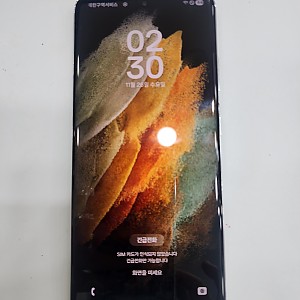 갤럭시S21울트라-5436