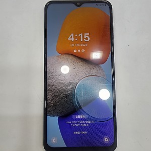 갤럭시버디2-7008